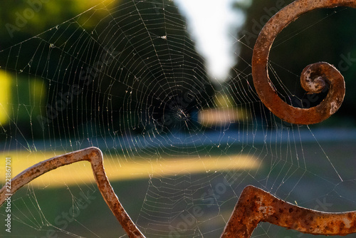 Spinnennetz an einem alten, verosteten Ornament am Geländer