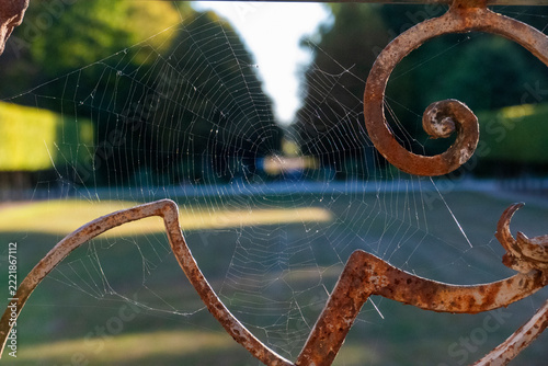 Spinnennetz an einem alten, verosteten Ornament am Geländer