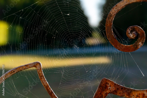 Spinnennetz an einem alten, verosteten Ornament am Geländer