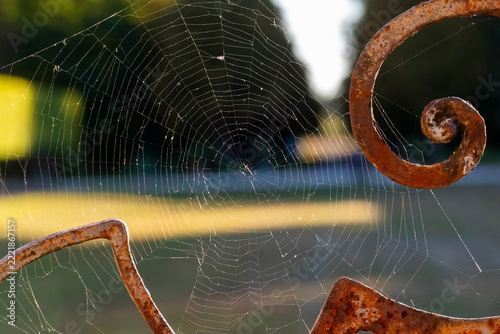 Spinnennetz an einem alten, verosteten Ornament am Geländer