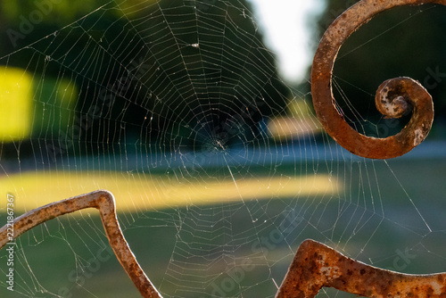 Spinnennetz an einem alten, verosteten Ornament am Geländer