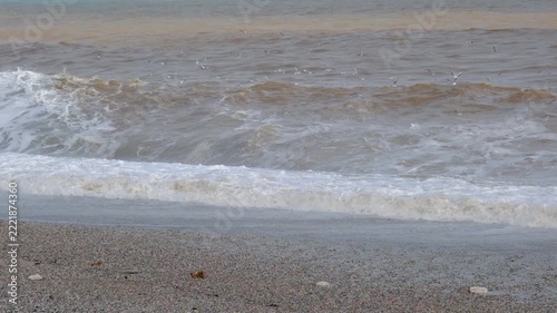 Powerful Brown Sea Waves During a Storm. Rough Muddy Sea Waves Surging in Stormy Weather. Turbulent Brown Ocean Water with Strong Waves.