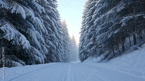 Empty snow covered road running through dense pine forest in winter