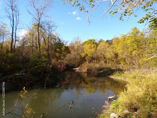 Fall landscape with colorful trees and river