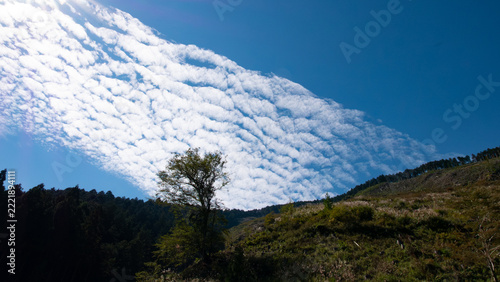 空を埋め尽くす鱗雲と丘が織りなす壮大な風景