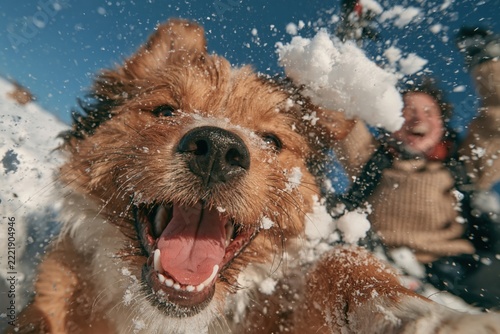 Dog plays in snow while owner enjoys winter weather in a snowy landscape