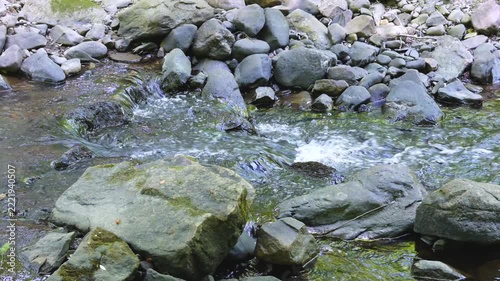 Water gurgling over mossy rocks with audio
