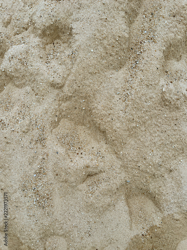 sand of the beach