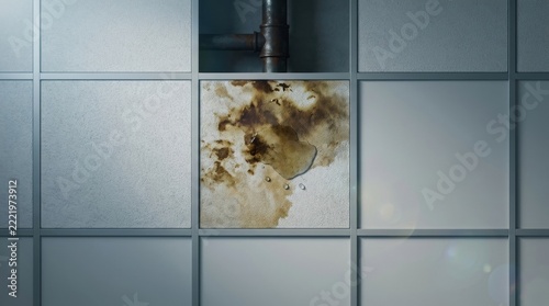 Water damaged acoustic ceiling tile with brown stain and water droplet in an office building, featuring a rusted metal pipe visible through a missing ceiling panel section.
