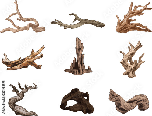 Aquascape Driftwood and Twisted Root Wood Vector Illustration Set