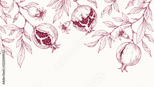 Vintage Pomegranate Branch Botanical Illustration Background with Copy Space