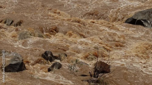 Turbulent muddy river rapids and flash flood flowing swiftly through rocks in forest