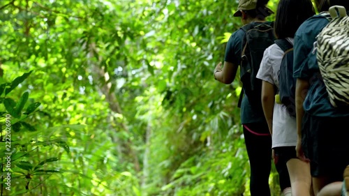 Rear view of hikers walking and trekking along shaded nature trail in tropical forest