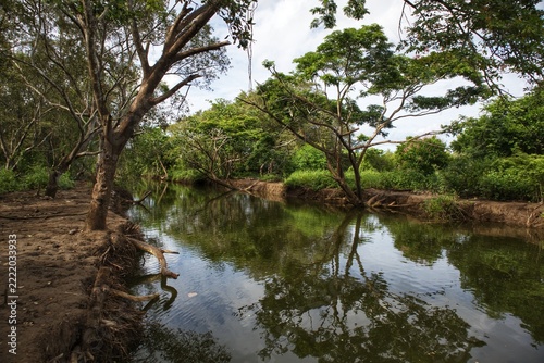 river in the woods
