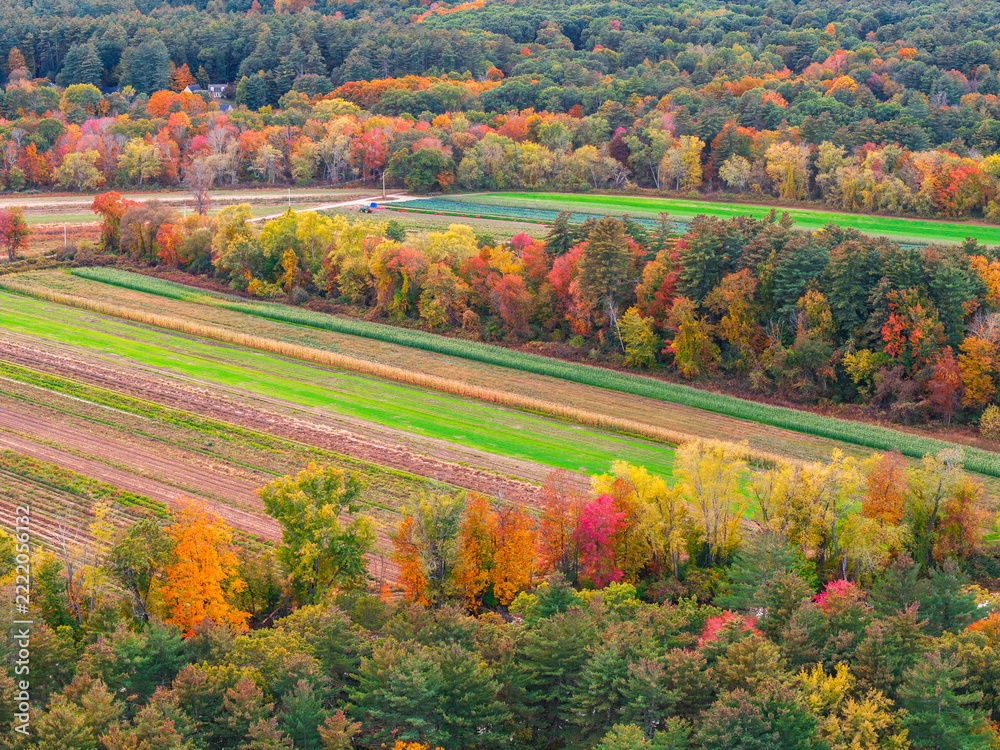 Naklejka premium aerial view of farm field and autumn trees