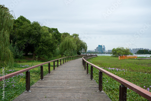 The Wooden Boardwalk at the Wetland Park