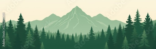 Mountain peak rises above dense evergreen forest under a pale sky.