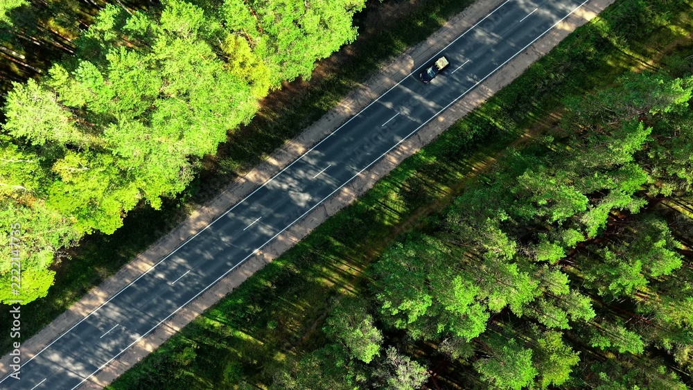 Fototapeta premium Aerial view of winding asphalt road surrounded by lush green trees under clear blue sky