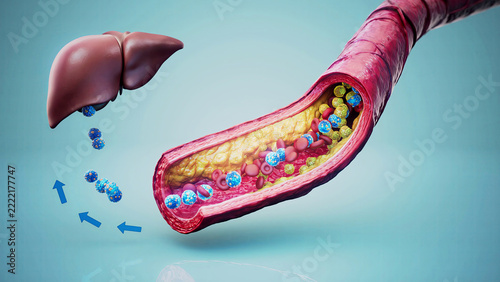 Conceptual 3D illustration of HDL and LDL cholesterol transport through the bloodstream