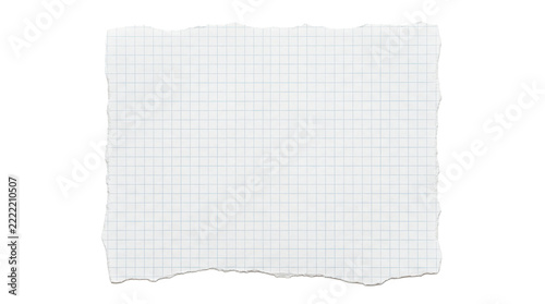 Single torn sheet of white grid paper with fine pale blue square ruling, irregular deckled edges, and clean writable surface for notes, planning, or scrapbook designs. Photorealistic studio product