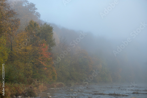 Misty autumn forest along mountain river bank in morning fog