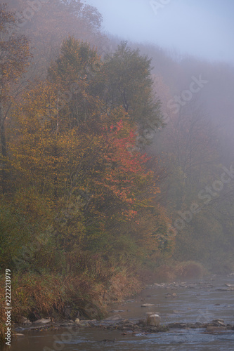 Misty autumn forest along mountain river bank in morning fog