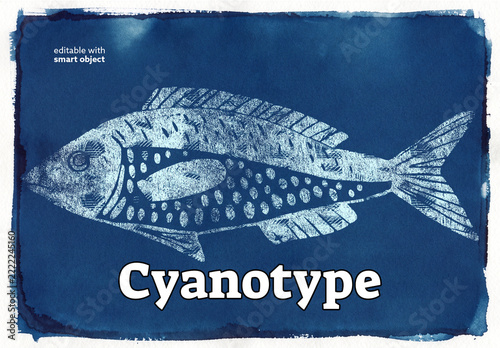 Cyanotype Photo Effect