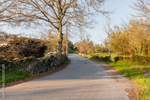 Narrow Asphalt Country Road in Rural Village
