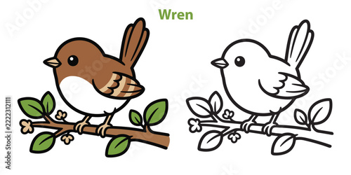 Cute wren bird illustration set with colored and outline versions for