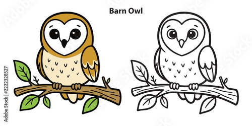 Cute barn owl vector illustration with colored and outline versions