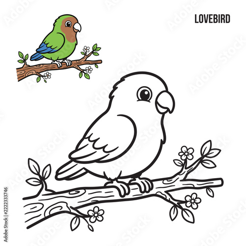 Cute lovebird coloring page for kids with colored example and outline