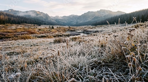 Frost-covered grasses in a mountain meadow at sunrise