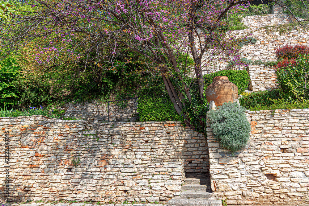 Fototapeta premium A blooming Judastree grows beside terraced stone walls and a decorative clay amphora jar in a Mediterranean garden.