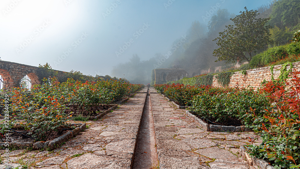 Naklejka premium A stone pathway leads through a foggy garden filled with rose bushes and ancient brick walls.
