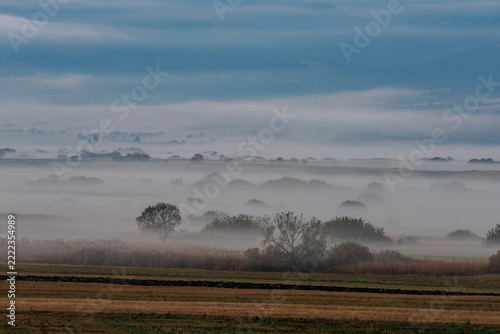 Misty Landscape at Dawn with Fog Covered Fields and Trees.Misty landscape at dawn with layers of fog drifting across harvested fields, scattered trees and distant hills beneath a cloudy blue sky.