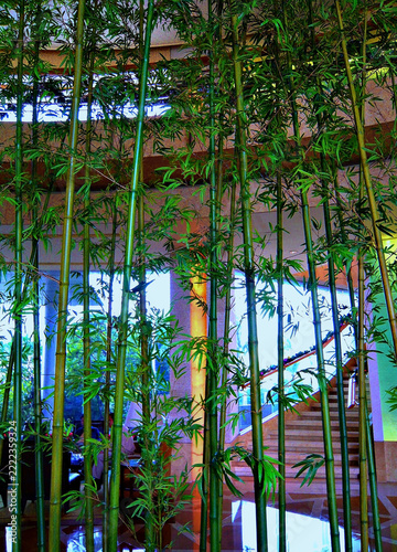 Bamboo Treen inside a hotel lobby in China