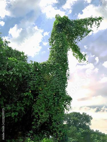 green tree in the sky