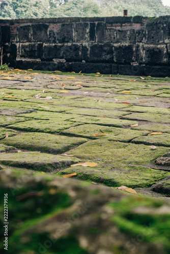 Obraz na plátně Dry leaves lie across uneven stone paving covered in green moss, with a dark weathered wall behind the textured ground