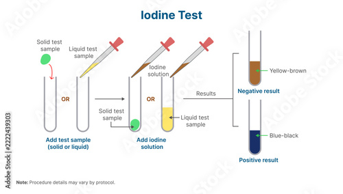 Iodine Test for Starch Diagram Showing Blue Black Positive Carbohydrate Result