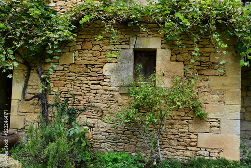vieux mur