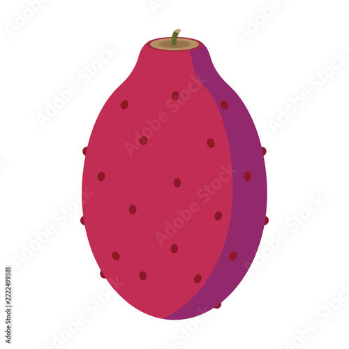 Single fresh red prickly pear fruit icon isolated on a simple design