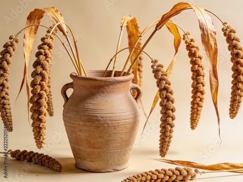 Dried sorghum stalks arranged inside rustic terracotta vase against neutral beige background showcasing harvest themes