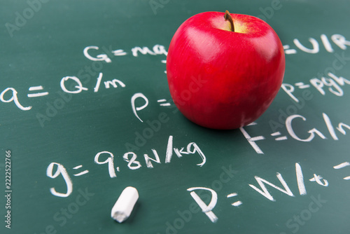A single apple invites deep thought among physics formulas.