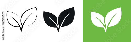 Set of leaf icons in different styles, simple vector illustration of plant leaves