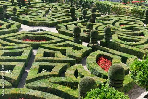 dans un jardin à la française