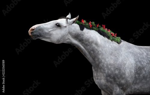 Horse in New year decor