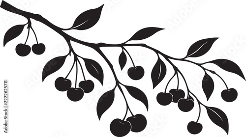 Apple tree branch with leaves on an isolated white background, closeup. Young sprouts of a fruit tree, isolate