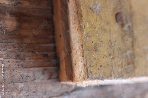 Close-up view of old weathered wood, showing grain and texture