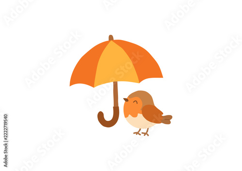 cat under umbrella