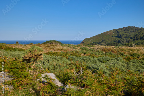 Wild coastal vegetation and green hills overlooking Atlantic Ocean